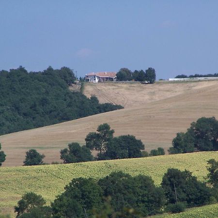 Villa Le Rabailly Mérenvielle エクステリア 写真
