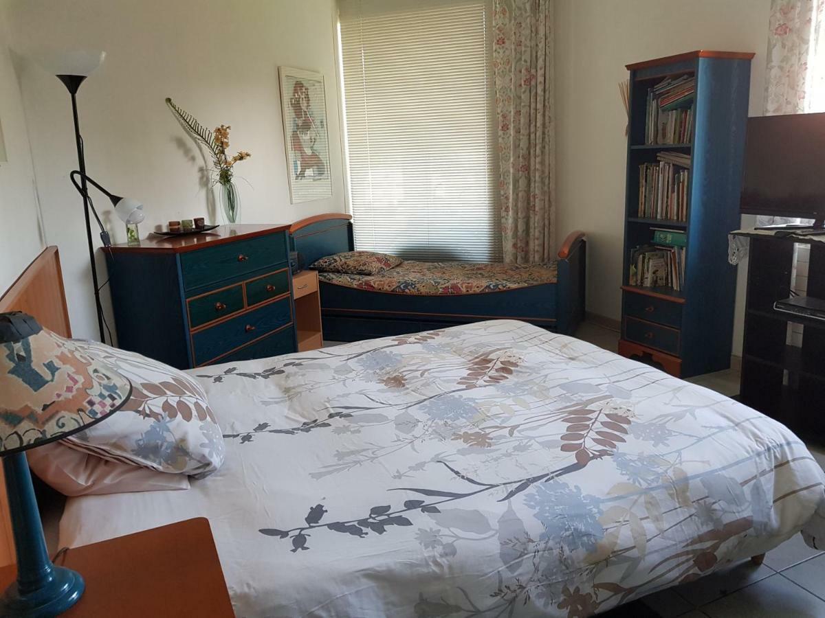 Villa Le Rabailly Mérenvielle エクステリア 写真